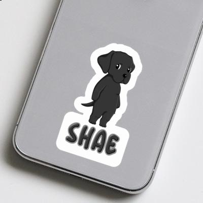 Autocollant Shae Labrador Retriever Laptop Image