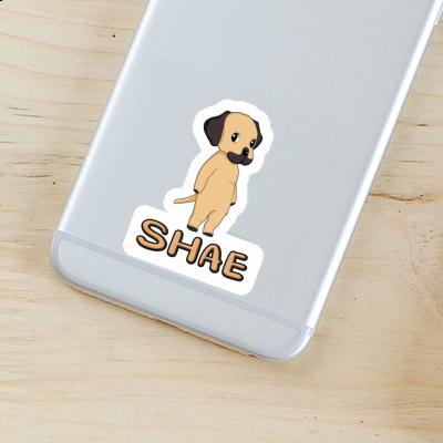 Shae Sticker Rhodesian Ridgeback Notebook Image