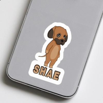 Sticker Shae Deutsche Dogge Image