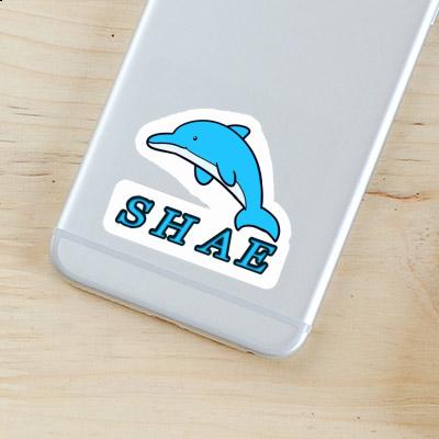 Dolphin Sticker Shae Image