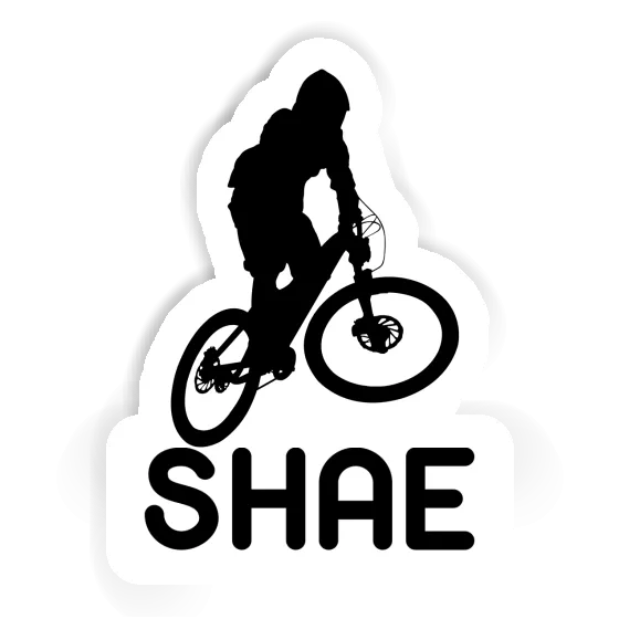 Shae Sticker Downhiller Gift package Image