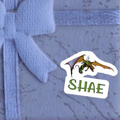 Sticker Shae Dragon Gift package Image