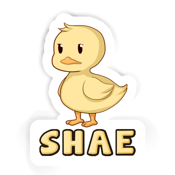 Sticker Duck Shae Image