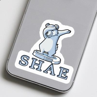 Sticker Shae Bear Laptop Image