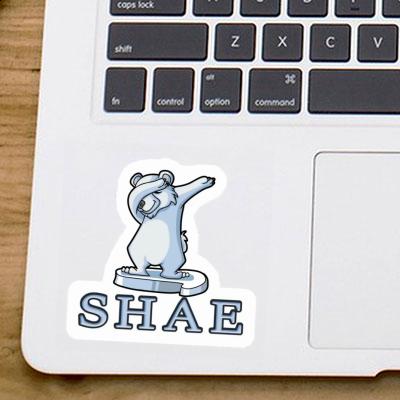 Sticker Shae Bear Image