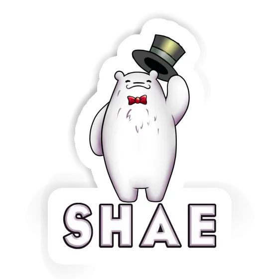 Sticker Shae Icebear Gift package Image