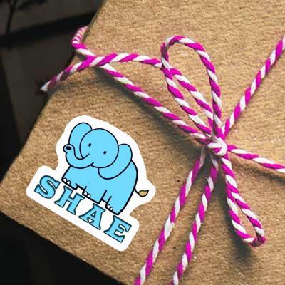 Sticker Elephant Shae Gift package Image