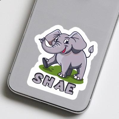 Éléphant Autocollant Shae Laptop Image