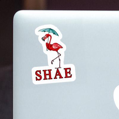 Flamingo Sticker Shae Laptop Image