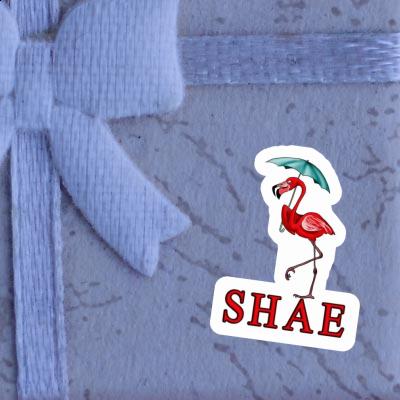 Autocollant Flamant Shae Gift package Image