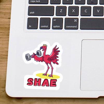 Shae Sticker Weight Lifter Laptop Image