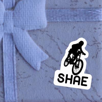 Shae Sticker Freeride Biker Laptop Image