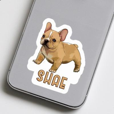 Frenchie Sticker Shae Notebook Image