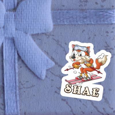 Skifahrer Sticker Shae Gift package Image