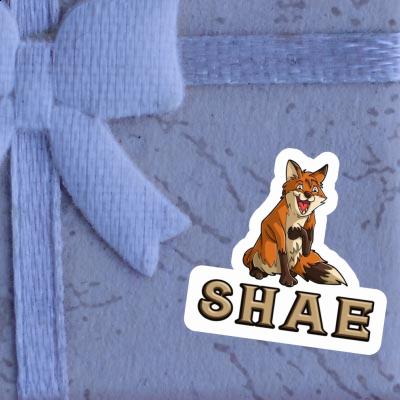 Sticker Fox Shae Gift package Image