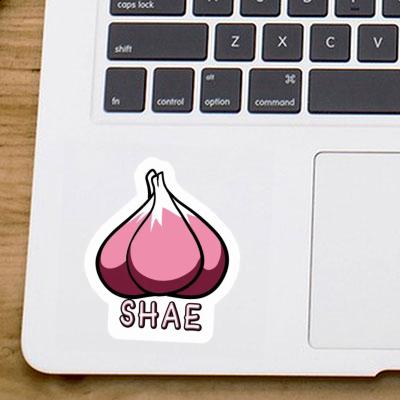 Shae Sticker Garlic clove Notebook Image