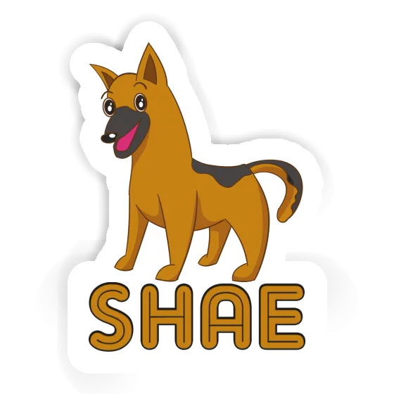 Sticker Shae Schäferhund Image