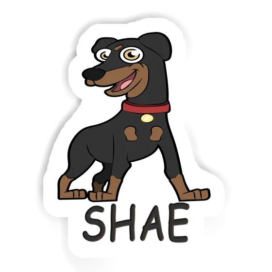 Sticker German Pinscher Shae Gift package Image