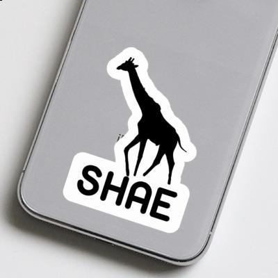 Giraffe Aufkleber Shae Laptop Image