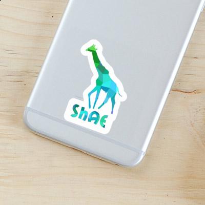 Sticker Shae Giraffe Laptop Image