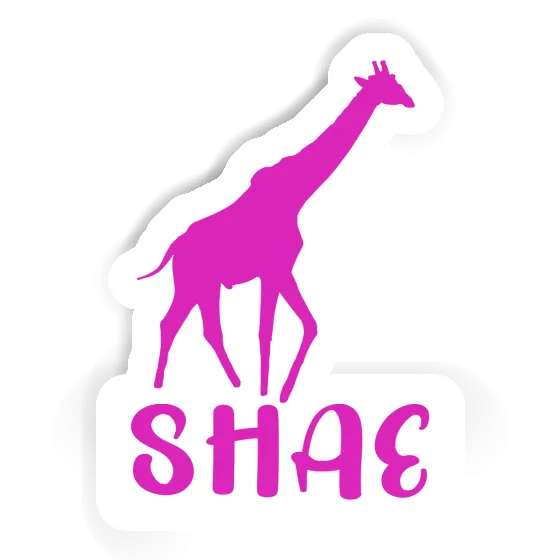 Shae Sticker Giraffe Image