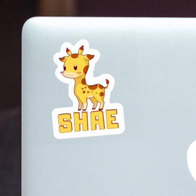 Sticker Shae Giraffe Laptop Image