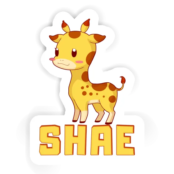 Sticker Shae Giraffe Gift package Image