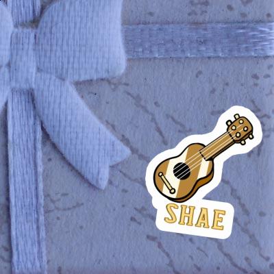 Autocollant Shae Guitare Gift package Image