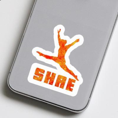 Gymnast Sticker Shae Gift package Image