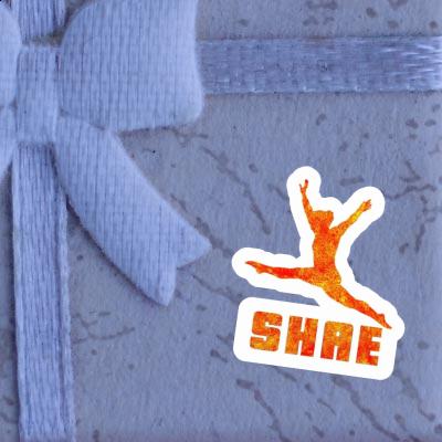 Gymnast Sticker Shae Gift package Image