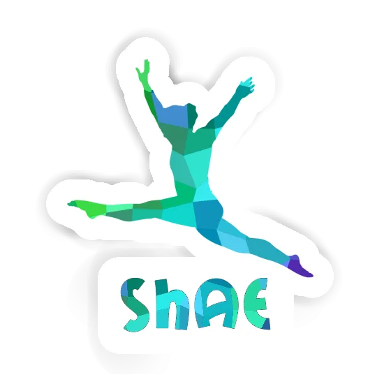 Sticker Gymnast Shae Gift package Image