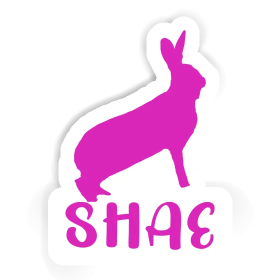 Shae Sticker Rabbit Laptop Image