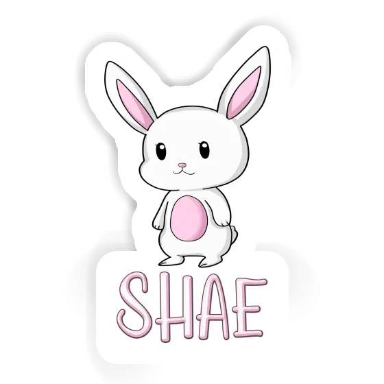 Hase Sticker Shae Notebook Image