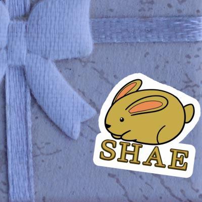 Sticker Shae Hare Gift package Image