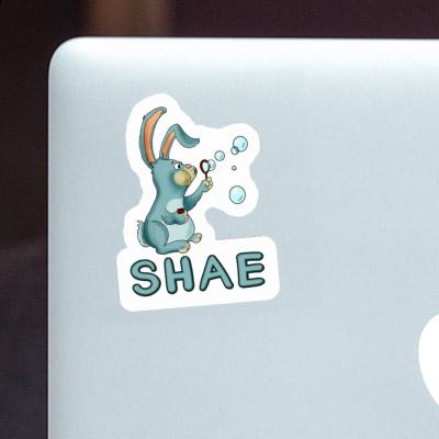 Sticker Soap Bubbles Rabbit Shae Laptop Image