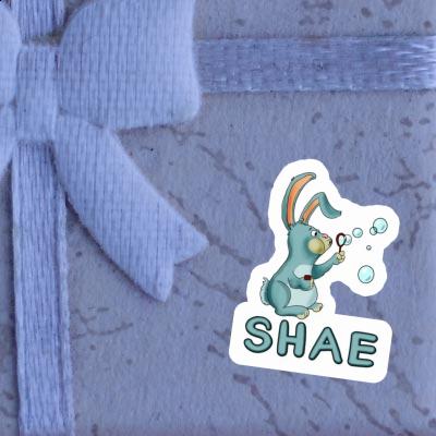 Sticker Soap Bubbles Rabbit Shae Notebook Image