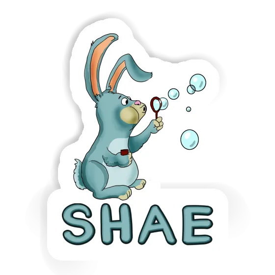 Sticker Soap Bubbles Rabbit Shae Gift package Image