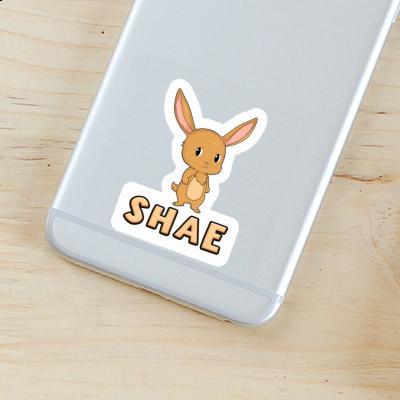 Rabbit Sticker Shae Laptop Image