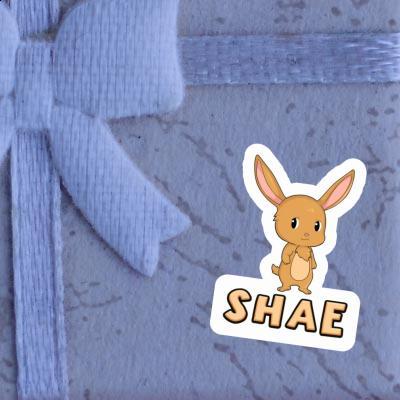 Rabbit Sticker Shae Gift package Image