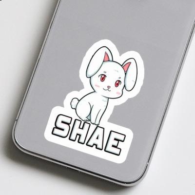 Sticker Shae Bunny Gift package Image