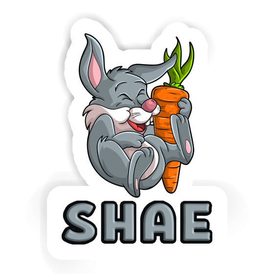 Sticker Shae Easter bunny Laptop Image