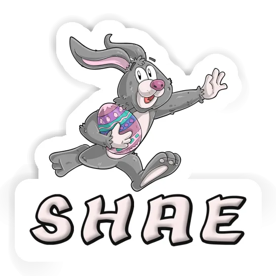 Sticker Rugby rabbit Shae Gift package Image