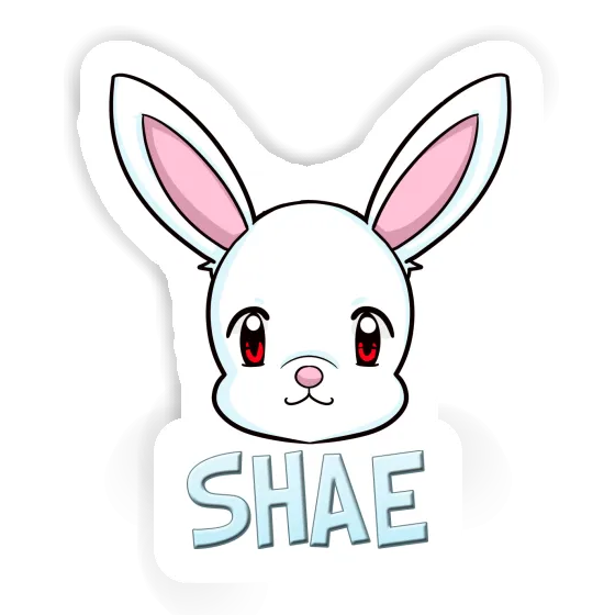 Sticker Rabbit Shae Notebook Image