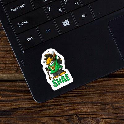 Sticker Hip-Hop Penguin Shae Laptop Image