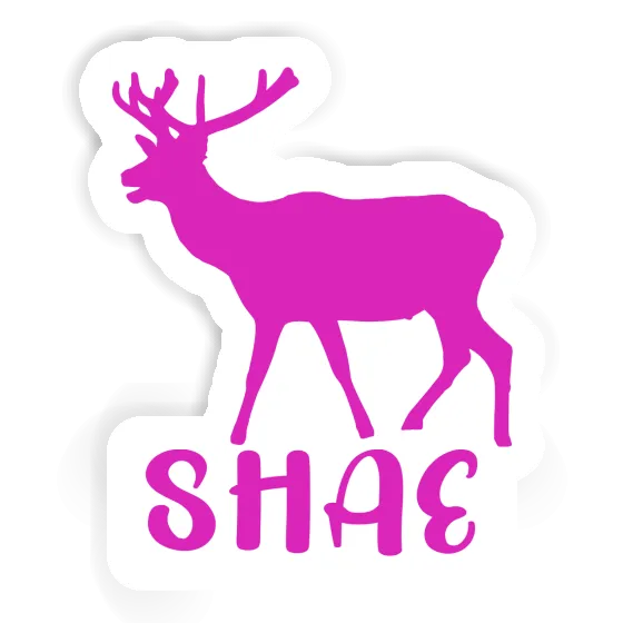 Shae Sticker Hirsch Laptop Image