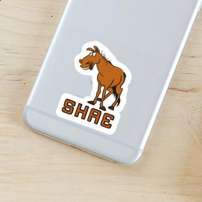 Shae Sticker Horse Notebook Image