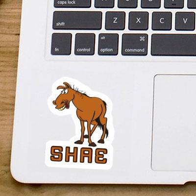 Shae Sticker Horse Image