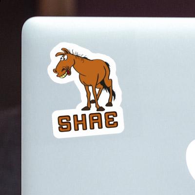 Shae Sticker Horse Gift package Image