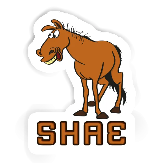 Shae Sticker Horse Gift package Image