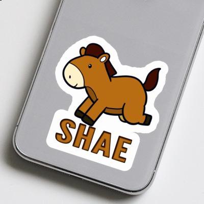 Sticker Shae Pferd Laptop Image